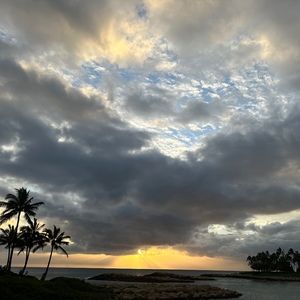 Meet your Posher, Talise t